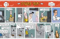 פרק 20 – ג'וקי